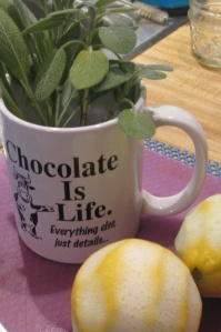 chocolate mug with sage-lemons IMG_4796
