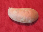orange fleshed sweet potato
